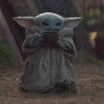 JOSHUA ROSADO JR rosado jr