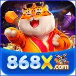 868x 868x
