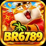 br6789 br6789