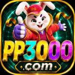 pp3000 pp3000
