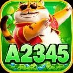 a2345 a2345