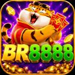 br8888 br8888