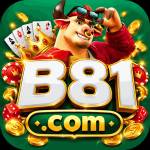 b81 b81