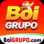 boigrupo boigrupo