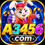 a3456 a3456